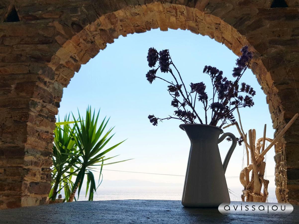 Avissalou Apartments Agios Romanos 외부 사진